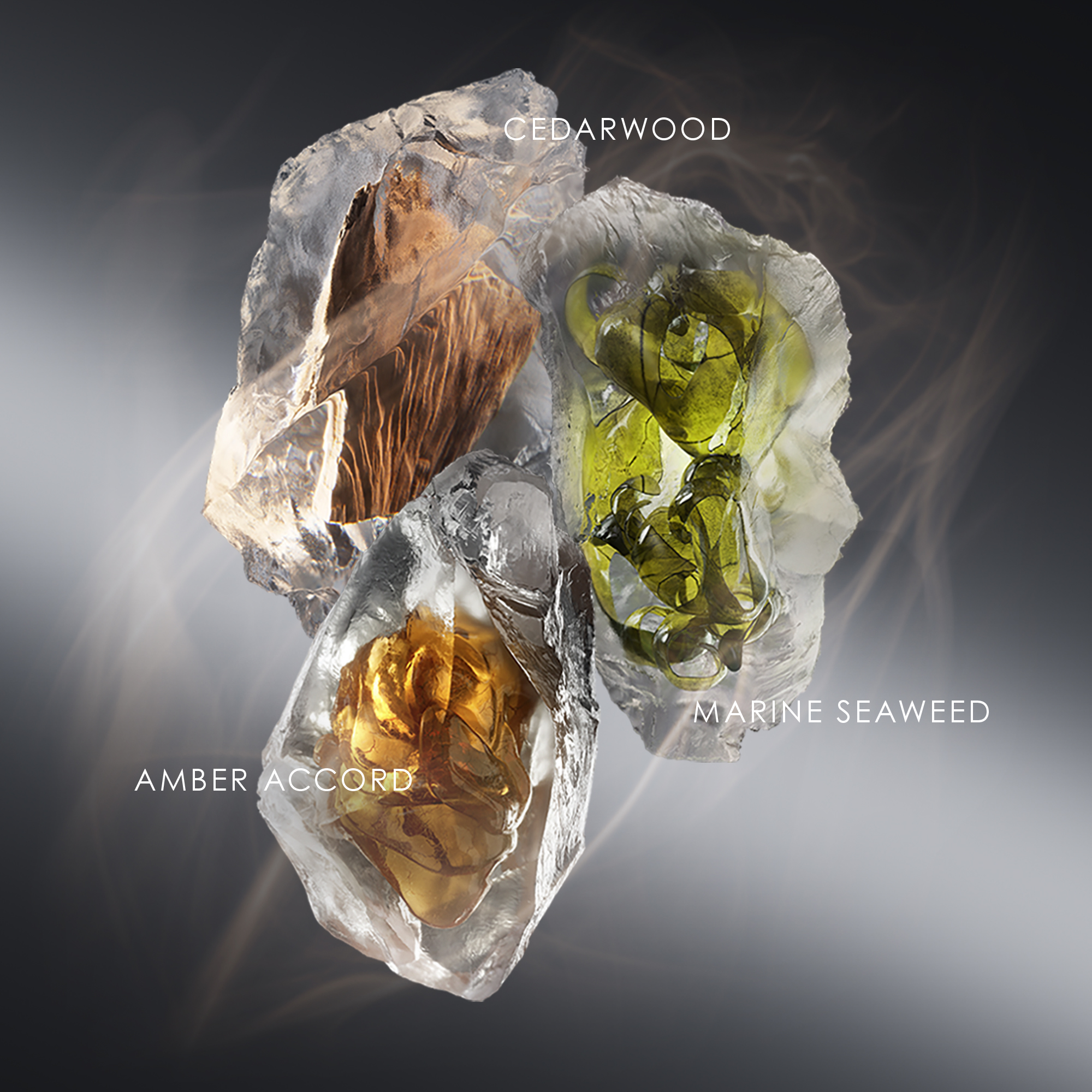 Le Sel d'Issey Eau de Parfum Le Sel d'Issey Eau de Parfum